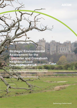 Report Strategic Environmental Assessment for the Lyminster and Crossbush Neighbourhood Development Plan 2021-08-02