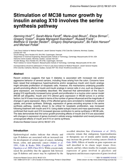 Stimulation of MC38 Tumor Growth by Insulin Analog X10 Involves the Serine Synthesis Pathway