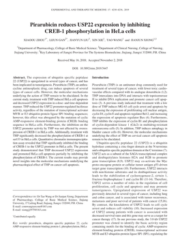 Pirarubicin Reduces USP22 Expression by Inhibiting CREB‑1 Phosphorylation in Hela Cells