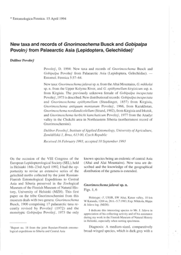 New Taxa and Records of Gnorimoschema Busck and Gobipalpa Povolny' from Palaearctic Asia (Lepidopterao Gelechiidae)R