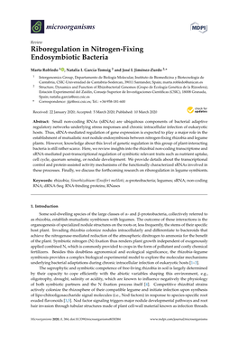 Riboregulation in Nitrogen-Fixing Endosymbiotic Bacteria