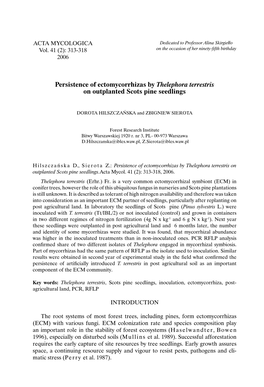 Persistence of Ectomycorrhizas by Thelephora Terrestris on Outplanted Scots Pine Seedlings