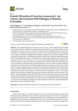 Genetic Diversity of Fusarium Oxysporum F. Sp. Cubense, the Fusarium Wilt Pathogen of Banana, in Ecuador