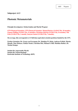 Photonic Metamaterials