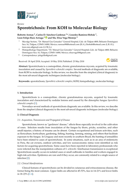 Sporotrichosis: from KOH to Molecular Biology