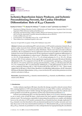 Ischemia Reperfusion Injury Produces, and Ischemic Preconditioning Prevents, Rat Cardiac Fibroblast Diﬀerentiation: Role of KATP Channels