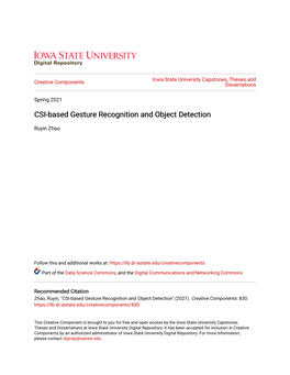 CSI-Based Gesture Recognition and Object Detection