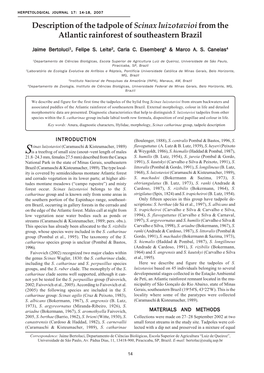 Scinax Luizotavioi from the Atlantic Rainforest of Southeastern Brazil