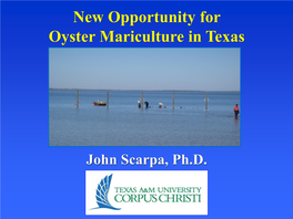 New Opportunity for Oyster Mariculture in Texas