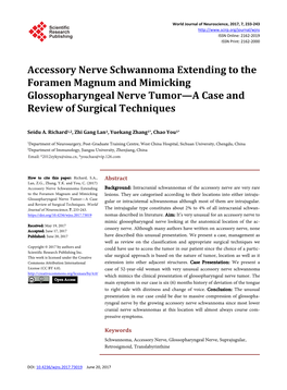 Accessory Nerve Schwannoma Extending to the Foramen Magnum and Mimicking Glossopharyngeal Nerve Tumor—A Case and Review of Surgical Techniques