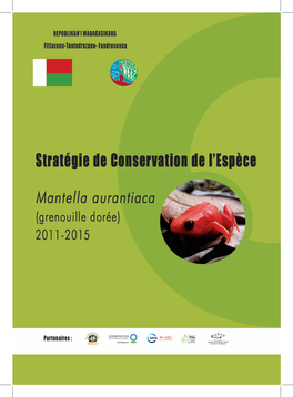 Stratégie De Conservation De L'espèce Mantella Auranfiaca