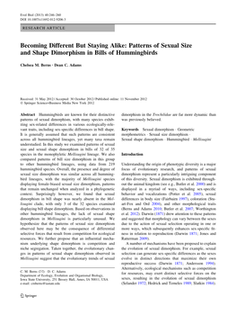 Becoming Different but Staying Alike: Patterns of Sexual Size and Shape Dimorphism in Bills of Hummingbirds