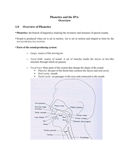 Phonetics and the IPA: an Overview