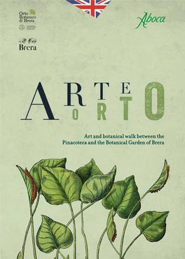 Arteorto Guide for ADULTS ENG