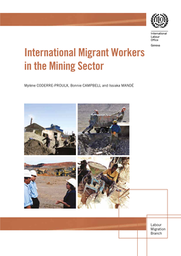 International Migrant Workers in the Mining Sectorpdf