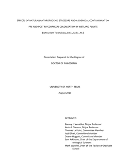 Dissertation.Pdf