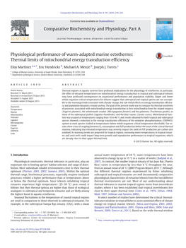 Thermal Limits of Mitochondrial Energy Transduction Efficiency