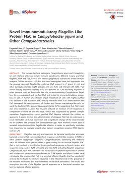 Campylobacter Jejuni and Other Campylobacterales