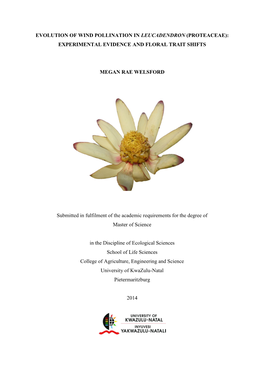 Evolution of Wind Pollination in Leucadendron (Proteaceae): Experimental Evidence and Floral Trait Shifts