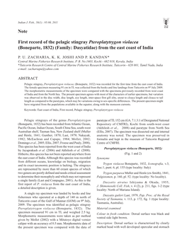 First Record of the Pelagic Stingray Pteroplatytrygon Violacea (Boneparte, 1832) (Family: Dasyatidae) from the East Coast of India