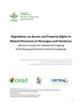 Regulations on Access and Property Rights to Natural Resources In