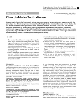 Charcot&Ndash;Marie&Ndash;Tooth Disease