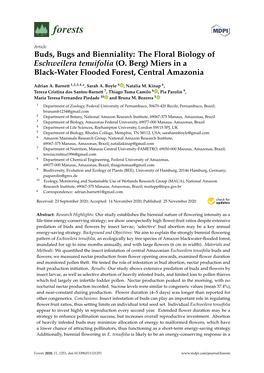 The Floral Biology of Eschweilera Tenuifolia (O