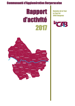 Rapport D'activité 2017