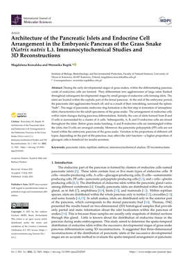 Architecture of the Pancreatic Islets and Endocrine Cell Arrangement in the Embryonic Pancreas of the Grass Snake (Natrix Natrix L.)