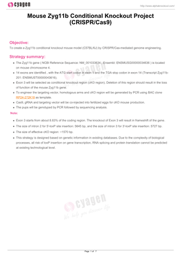 Mouse Zyg11b Conditional Knockout Project (CRISPR/Cas9)