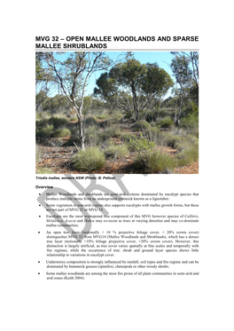 MVG 32 Open Mallee Woodlands and Sparse Mallee Shrublands DRAFT