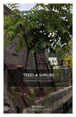 Trees & Shrubs Guide