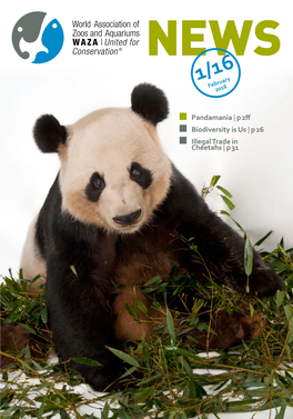 Pandamania | P 2Ff Biodiversity Is Us | P 26 Illegal Trade in Cheetahs | P 31 IIII WAZA 1/16 WAZA 1/16 1