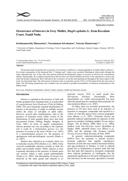 Occurrence of Intersex in Grey Mullet, Mugil Cephalus L. from Kovalam Coast, Tamil Nadu