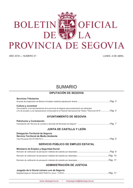 AYUNTAMIENTO DE SEGOVIA Patrimonio Y Contratación Contratación Del “Servicio De Comidas a Domicilio Del Municipio De Segovia”