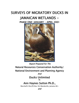 Jamaica Duck Surveys 2001