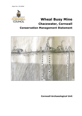 Wheal Busy Mine Chacewater, Cornwall Conservation Management Statement