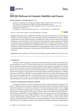 RECQ1 Helicase in Genomic Stability and Cancer