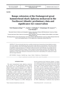 Range Extension of the Endangered Great Hammerhead Shark Sphyrna Mokarran in the Northwest Atlantic: Preliminary Data and Significance for Conservation