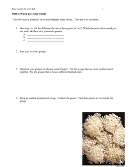 Chapter 7 Sweet Genes in Corn—A Story of Mutation