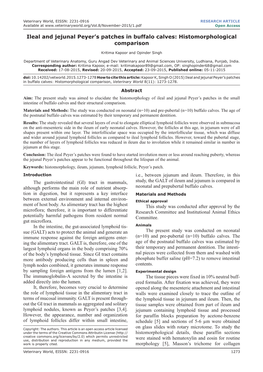 Ileal and Jejunal Peyer's Patches in Buffalo Calves