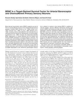 BDNF Is a Target-Derived Survival Factor for Arterial Baroreceptor and Chemoafferent Primary Sensory Neurons