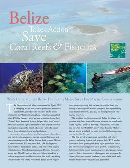 &Fisheries Reefs Coral