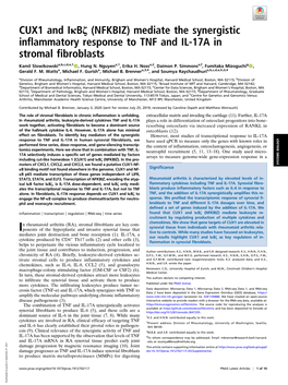 NFKBIZ) Mediate the Synergistic Inflammatory Response to TNF and IL-17A in Stromal Fibroblasts