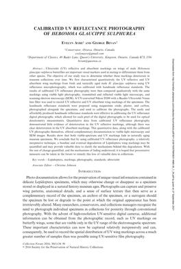 Calibrated Uv Reflectance Photography of Hebomoia Glaucippe Sulphurea