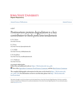 Postmortem Protein Degradation Is a Key Contributor to Fresh Pork Loin Tenderness K