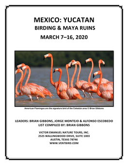Mexico: Yucatan Birding & Maya Ruins