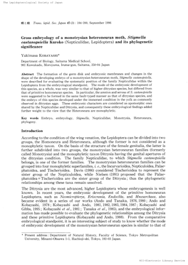 Kuroko (Nepticulidae, Lepidoptera) and Its Phylogenetic Significanee