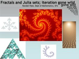 Fractals and Julia Sets; Iteration Gone Wild