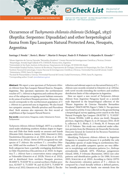 Occurrence of Tachymenis Chilensis Chilensis (Schlegel, 1837)(Reptilia